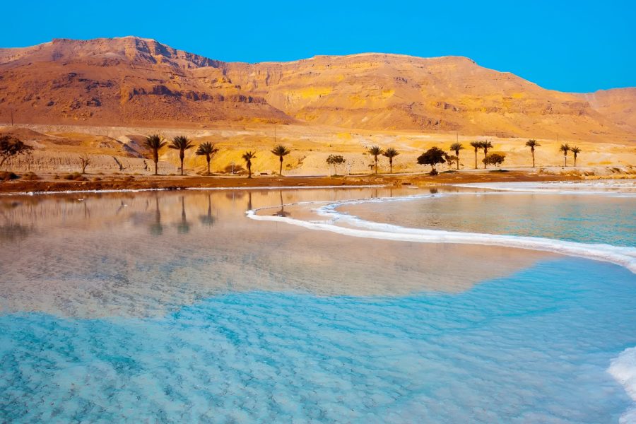 One Day Tour (Dead Sea)