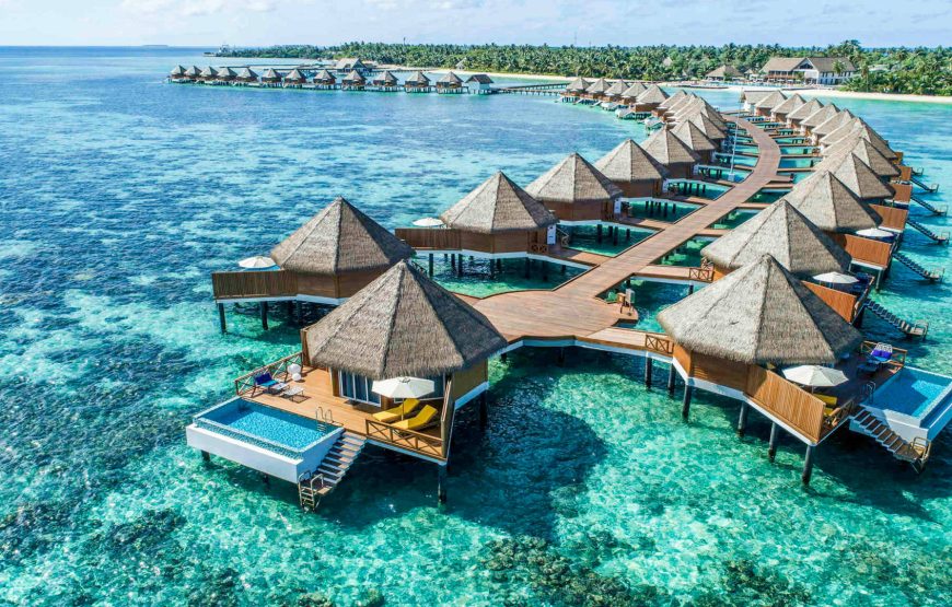 The Maldives